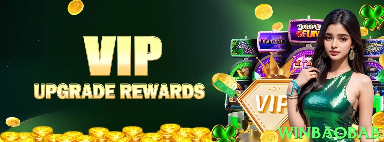 winbaobab Pakistan - 3